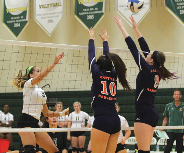 Volleyball looks to finish strong in conference