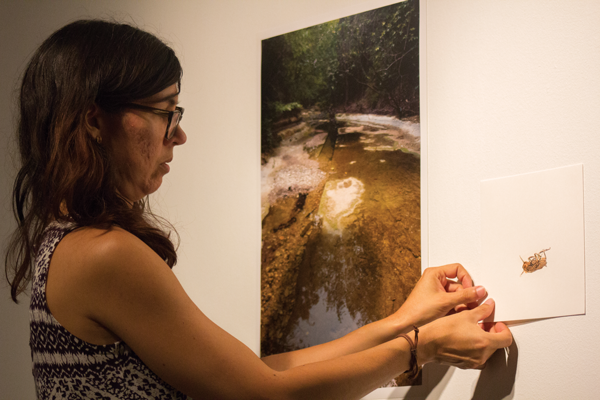 David Sanchez/ The Et Cetera Gallery director Iris Bechtol installs art pieces for the In Good Company show on campus.