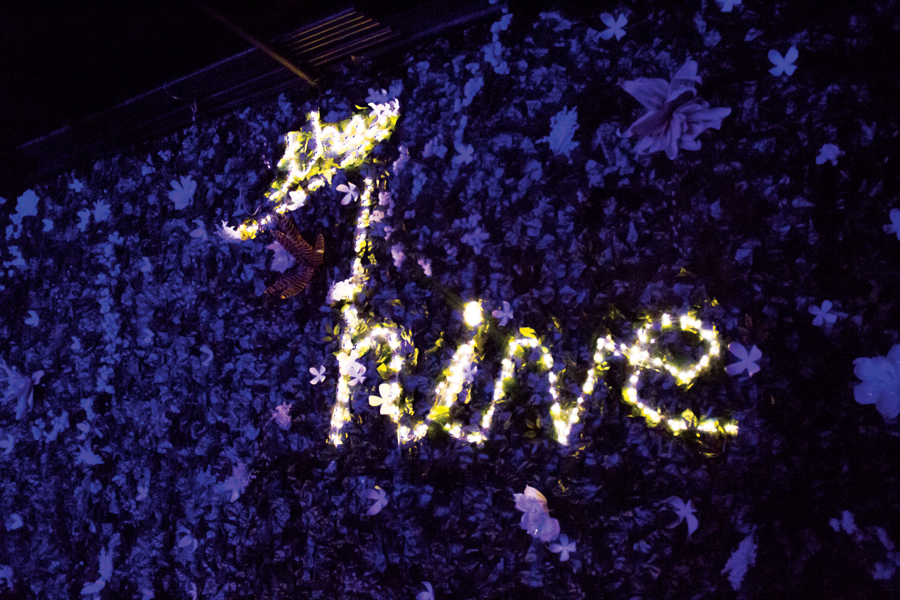 Fairy lights on a wall completely covered in grass spell out the name of the nightclub, The Hive. Photo by James Hartley/The Et Cetera