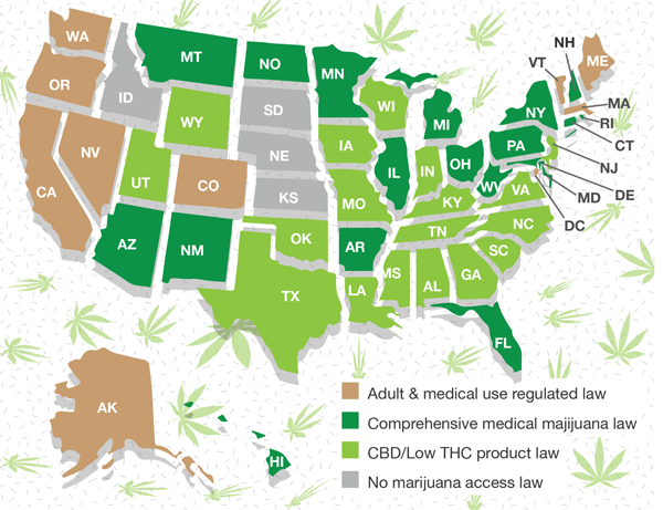 High time for change? Attitudes on marijuana shifting at state levels