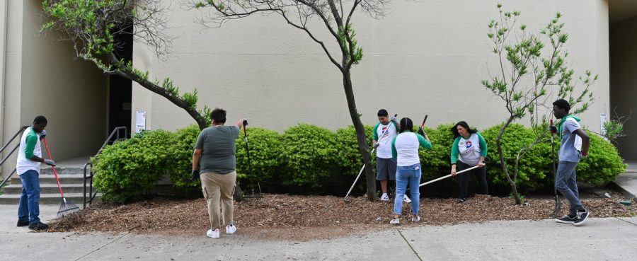 Members of the Upward Bound team help move mulch at the upper courtyard. 