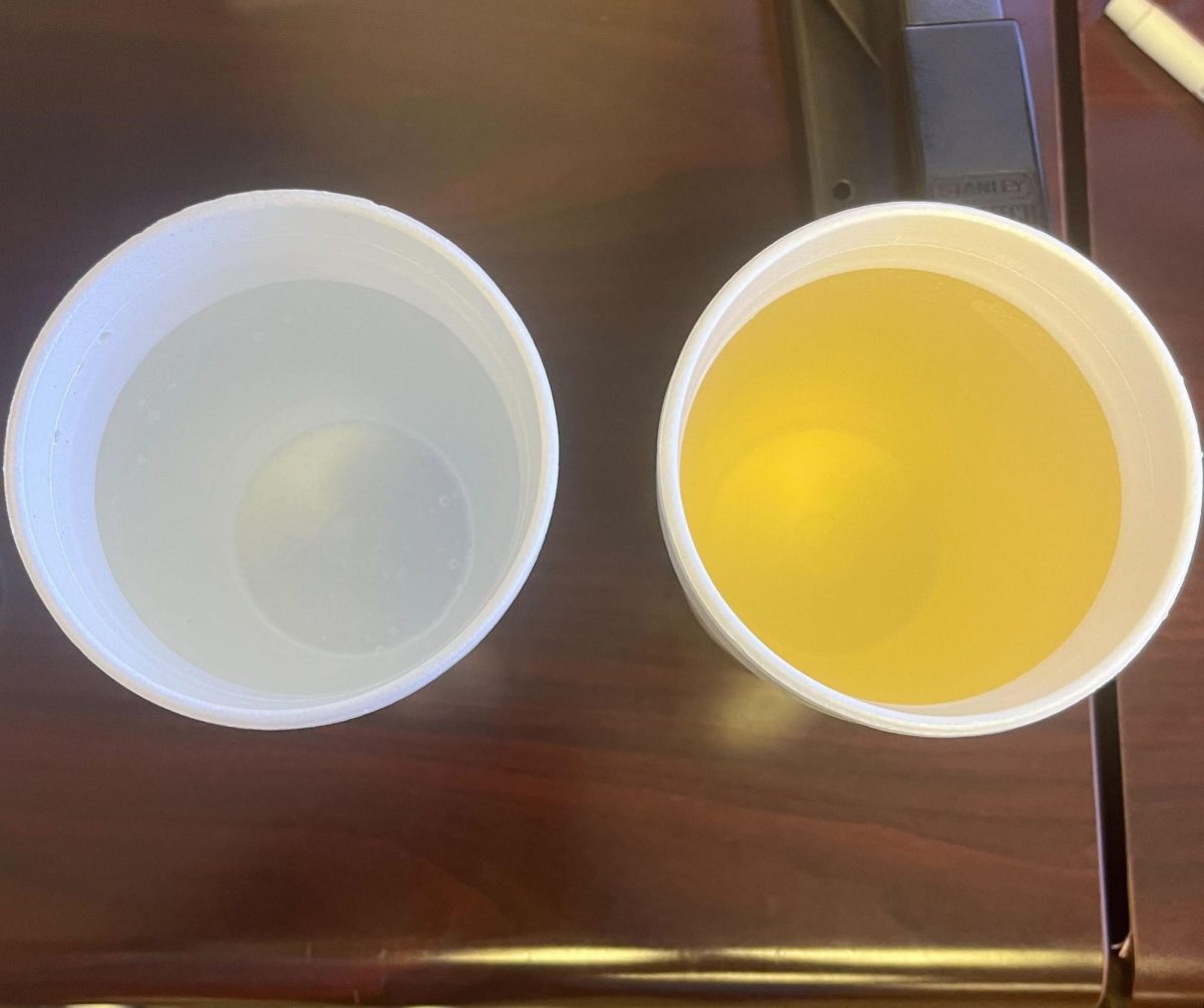 Water from a break room sink at Eastfield (left) compared with water from a fountain  (right).