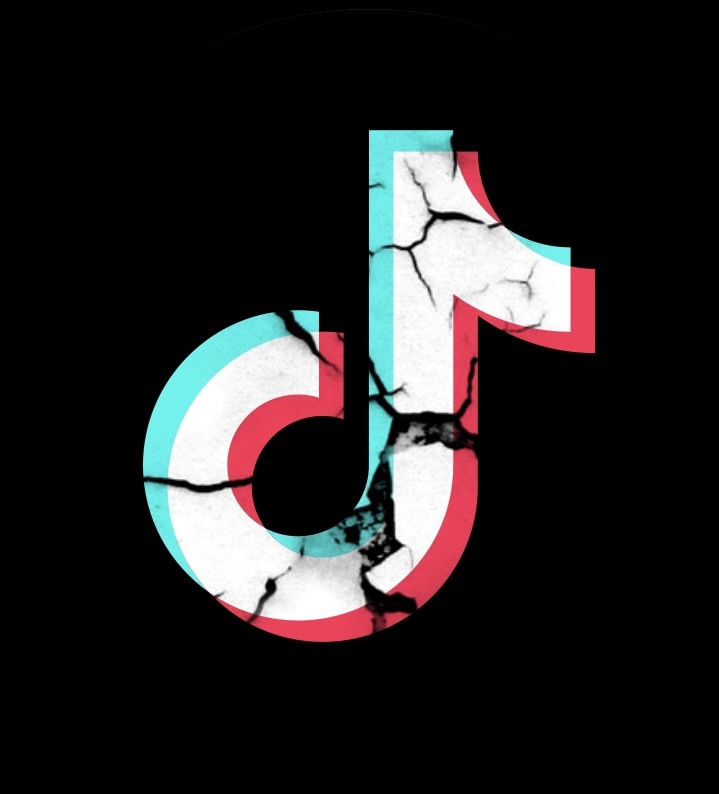 TikTok raises serious concern with new terms